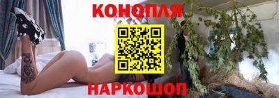 гашик Владимир