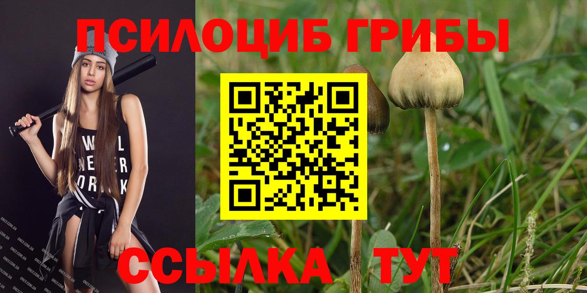 Галлюциногенные грибы прущие грибы  Вход с VPN  Бузулук 